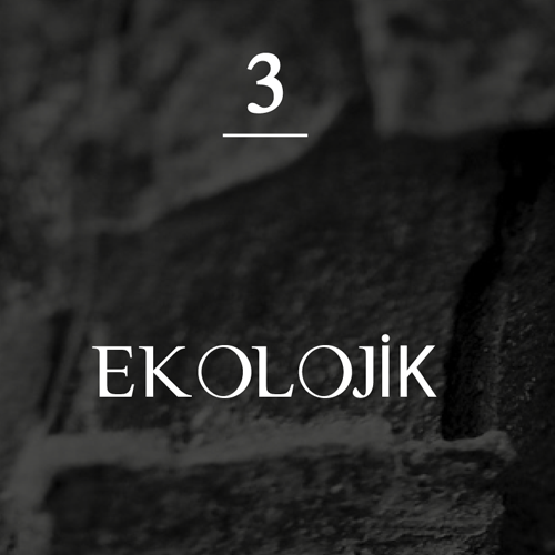 EKOLOJİK